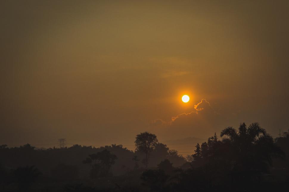 Free Image of Sun Setting Over Distant Trees 