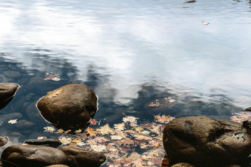 Free Image of Rock Stones in a river 