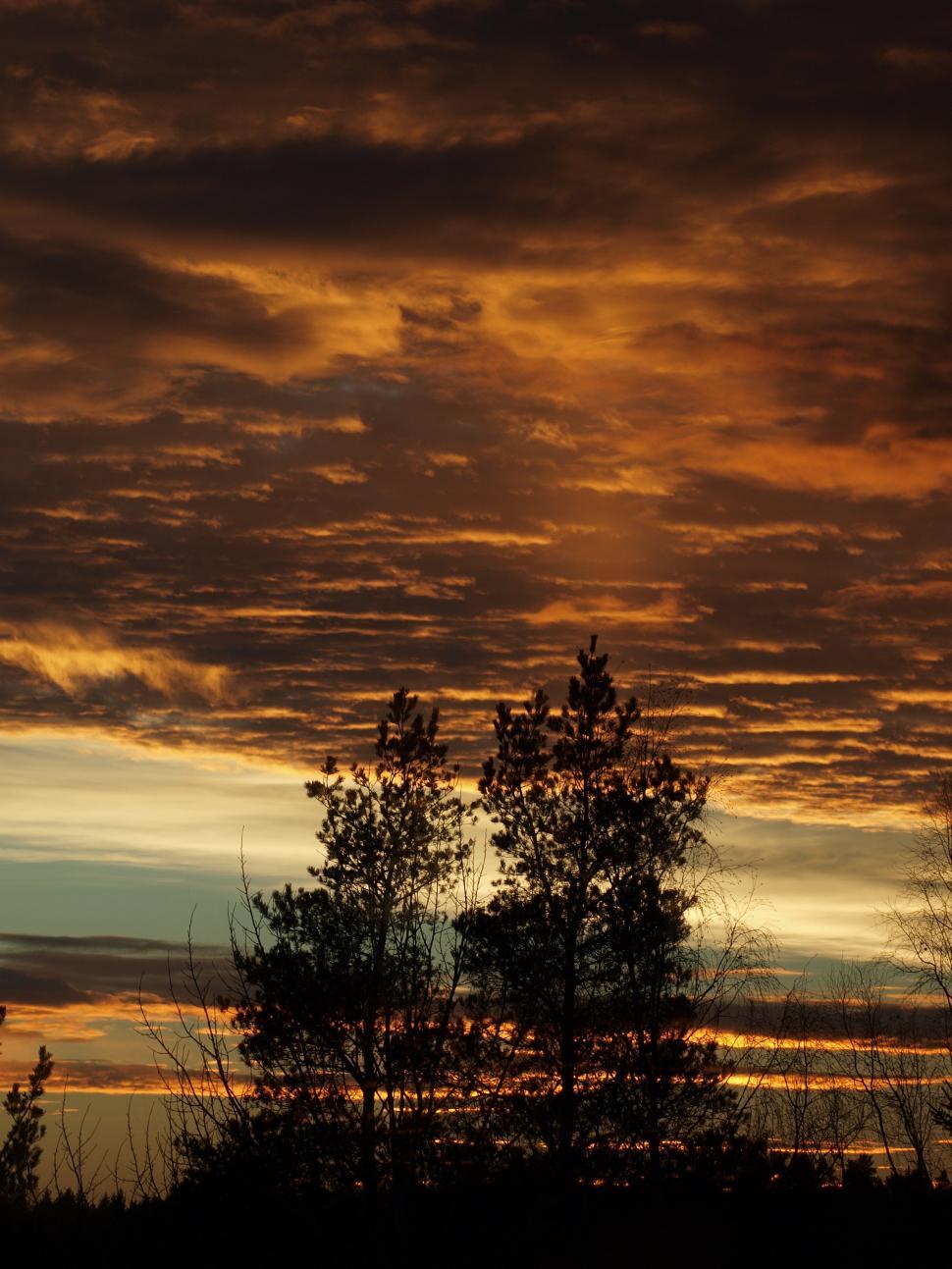Free Image of Sunset over trees 