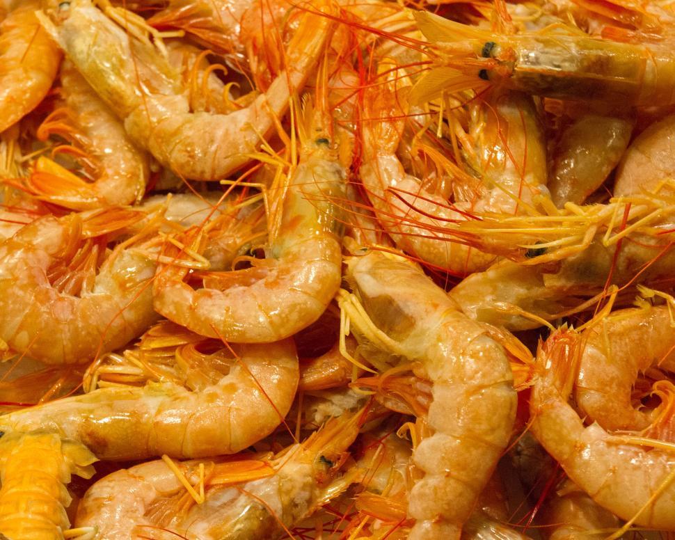 Free Image of Shrimp at fishmarket 