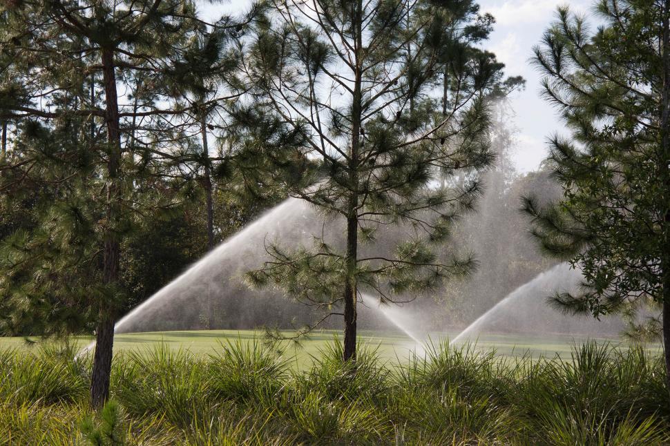Free Image of Sprinklers on a lawn with trees 