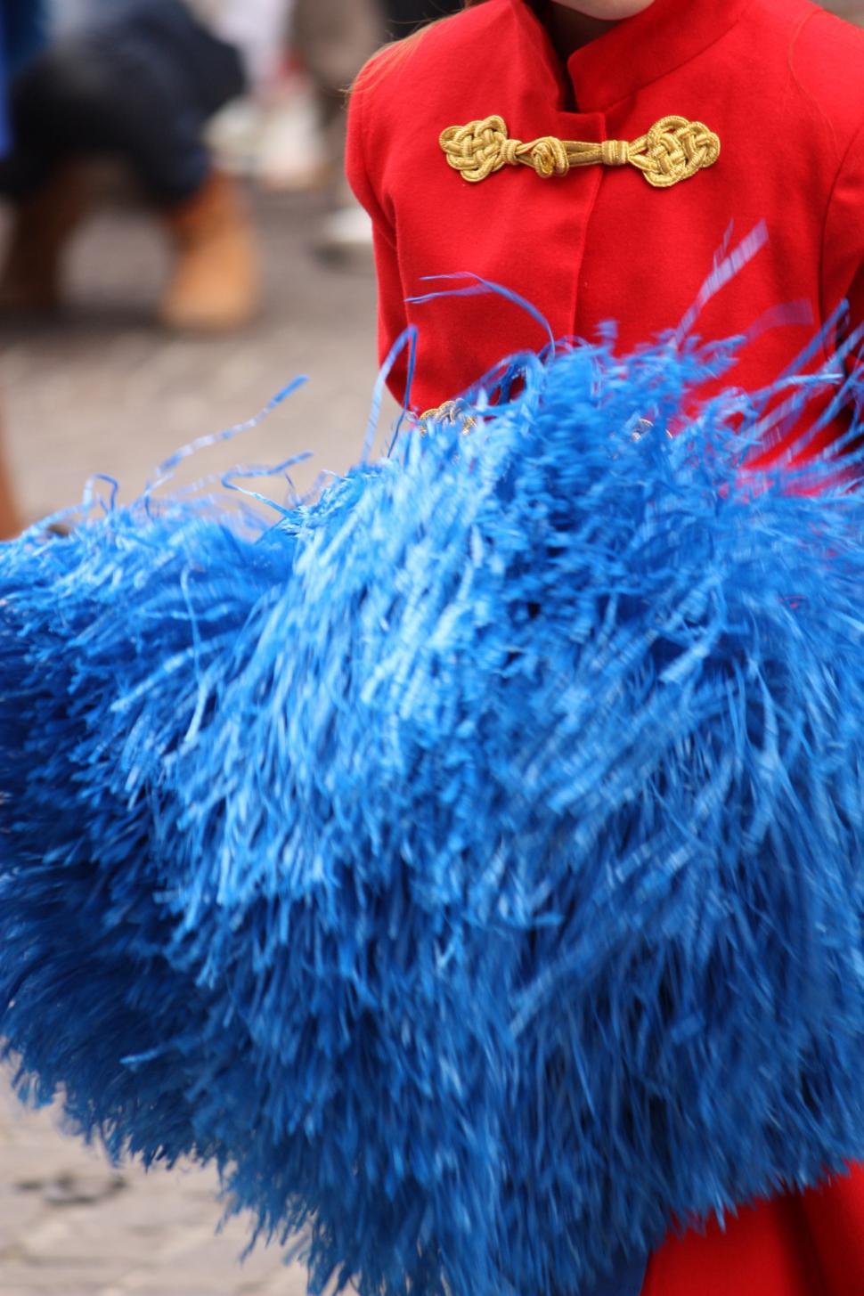 Free Image of Young Boy in Red Uniform Holding Blue Feathered Object 