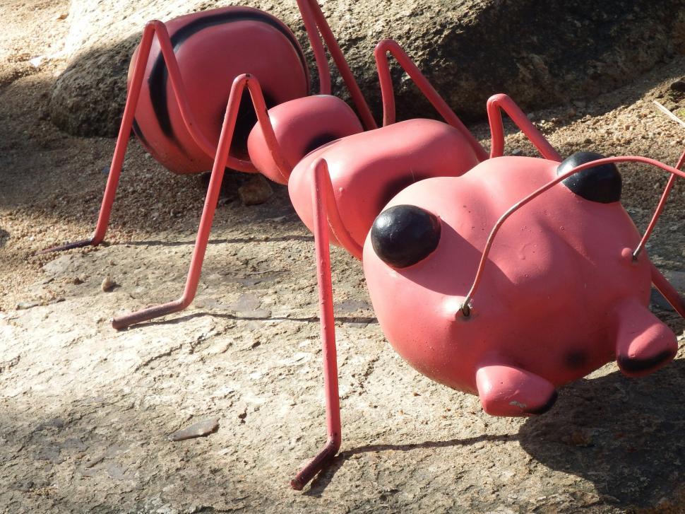 Free Image of Large Ant Model  