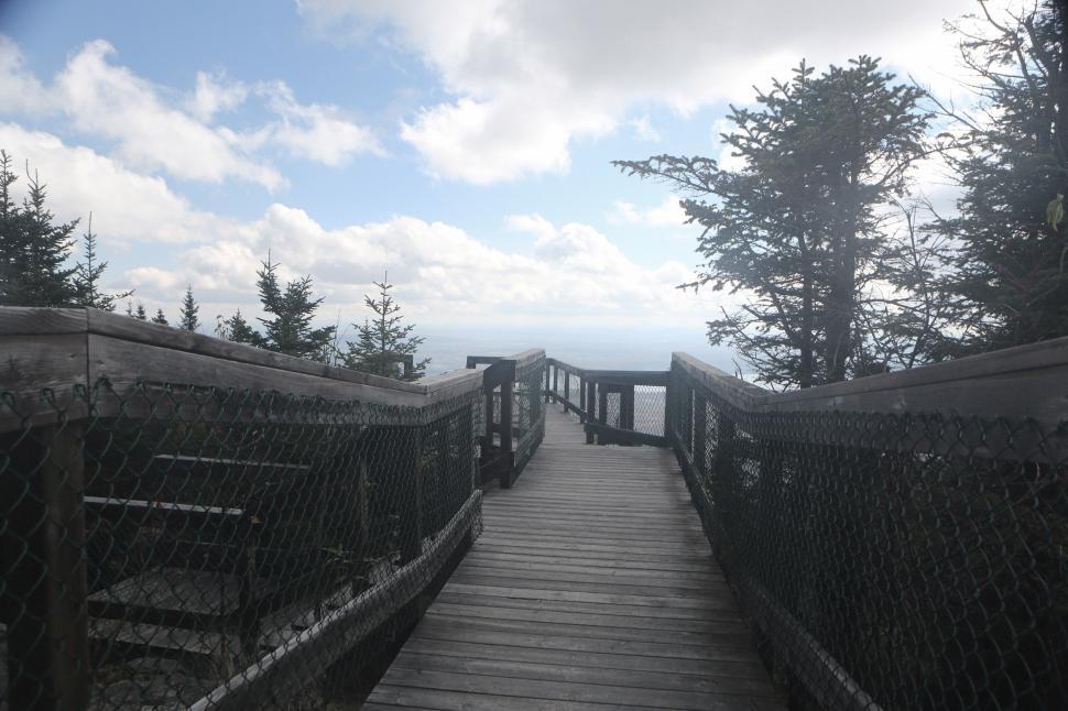 Free Image of Wooden Bridge Overlooking Forest 