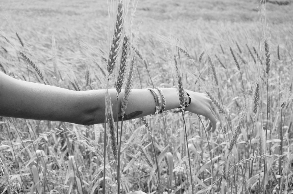 Free Image of Person Holding Bread in Field 