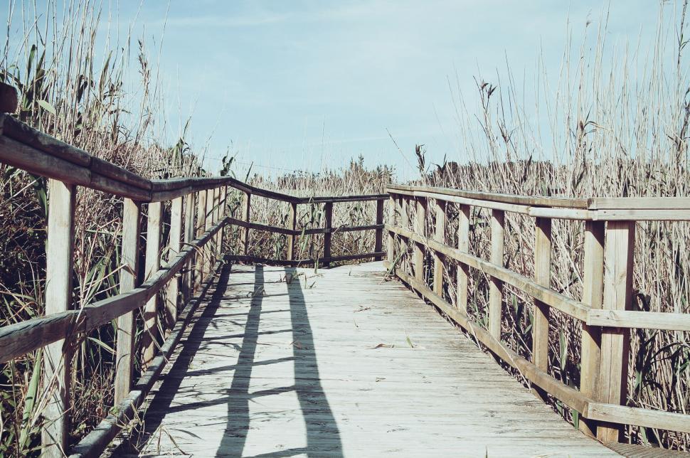 Free Image of Wooden Walkway Leading to Beach Covered in Sea Oats 