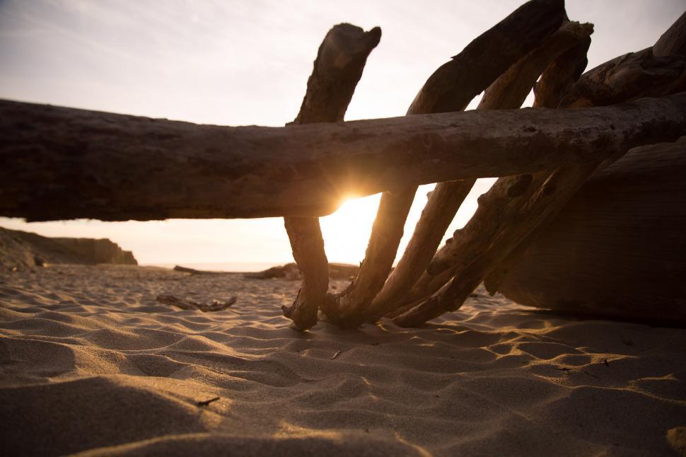 Free Image of Driftwood on Beach at Sunset 