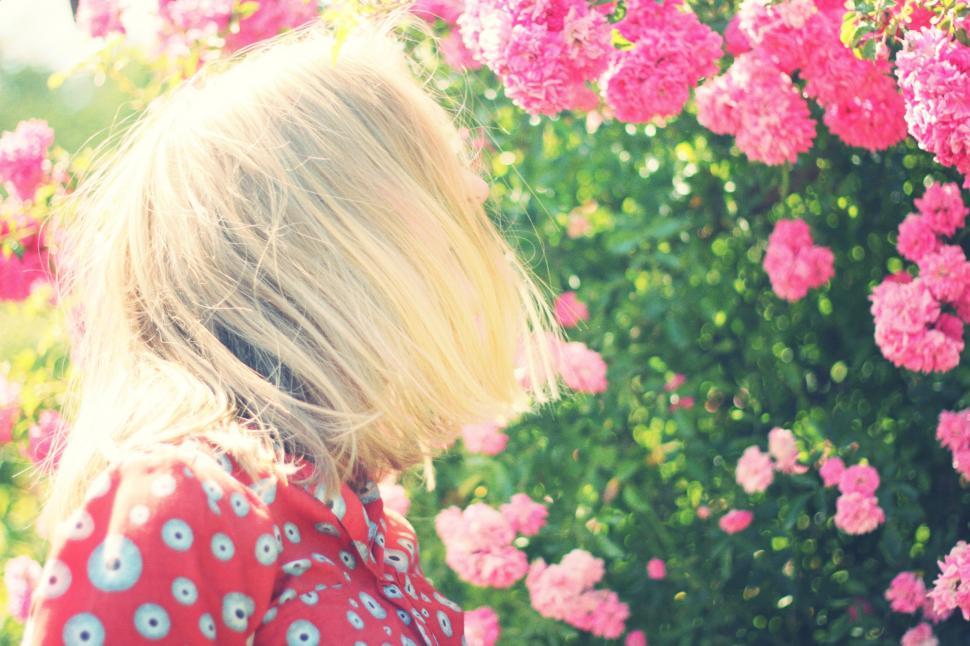 Free Image of Little Girl Standing in Front of Pink Flowers 