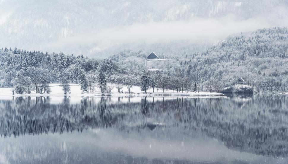 Free Image of Snow-Covered Forest Surrounding Frozen Lake 