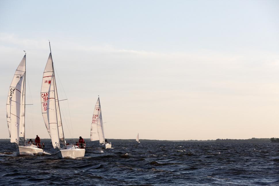 Free Image of Group of Sailboats Sailing in the Ocean 