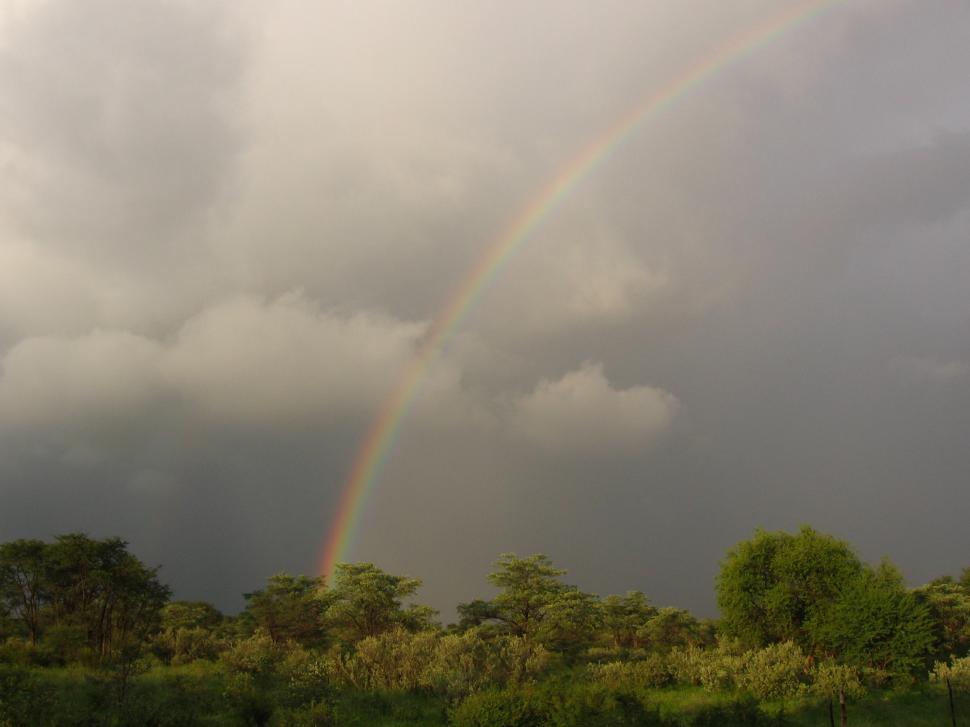 Free Image of Rainbow over veld 