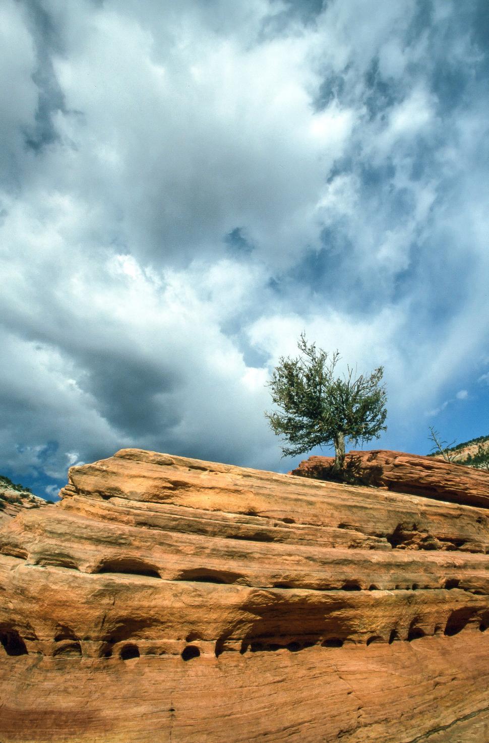 Free Image of Erosion at Zion National Park 