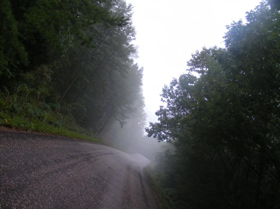 Free Image of Forest Road 