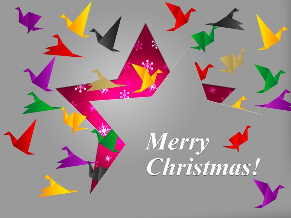 Free Image of Birds Xmas Shows Merry Christmas And Celebration 