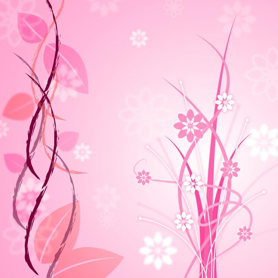 Free Image of Pink Floral Indicates Bloom Backgrounds And Flower 