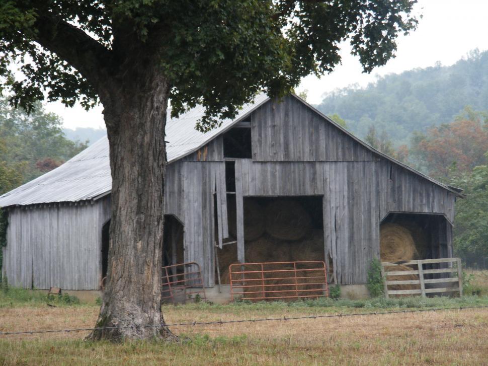 Free Image of Barn With Tree in Front 
