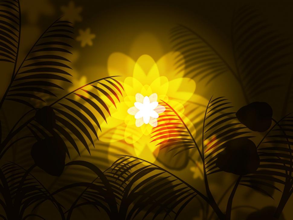 Free Image of Nature Floral Shows Light Burst And Blazing 