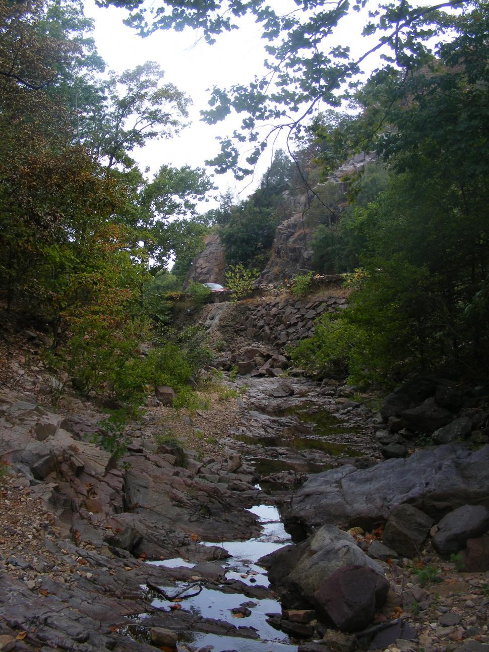 Free Image of Stream in the woods 