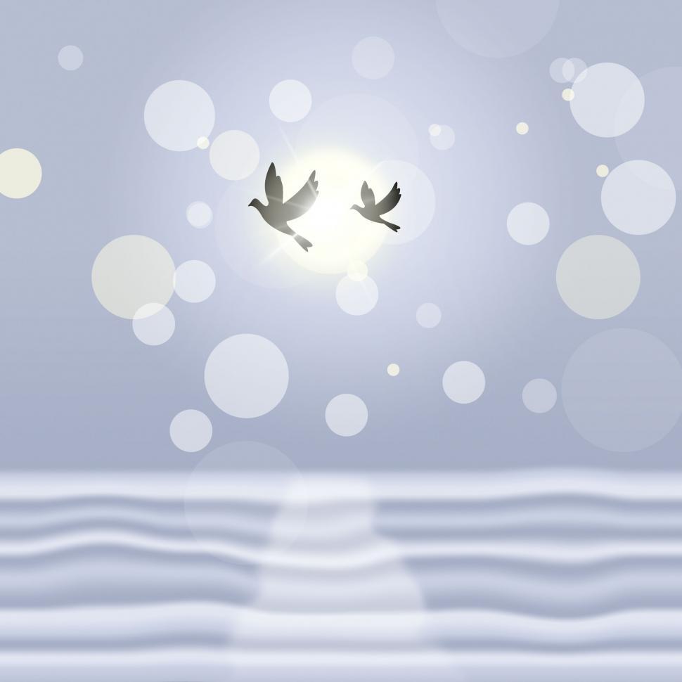 Free Image of Doves Landscape Means Bokeh Lights And Birds 