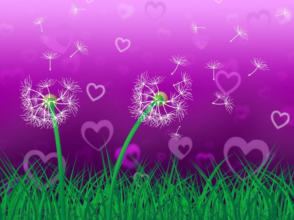 Free Image of Dandelion Sky Represents Heart Shape And Grassy 