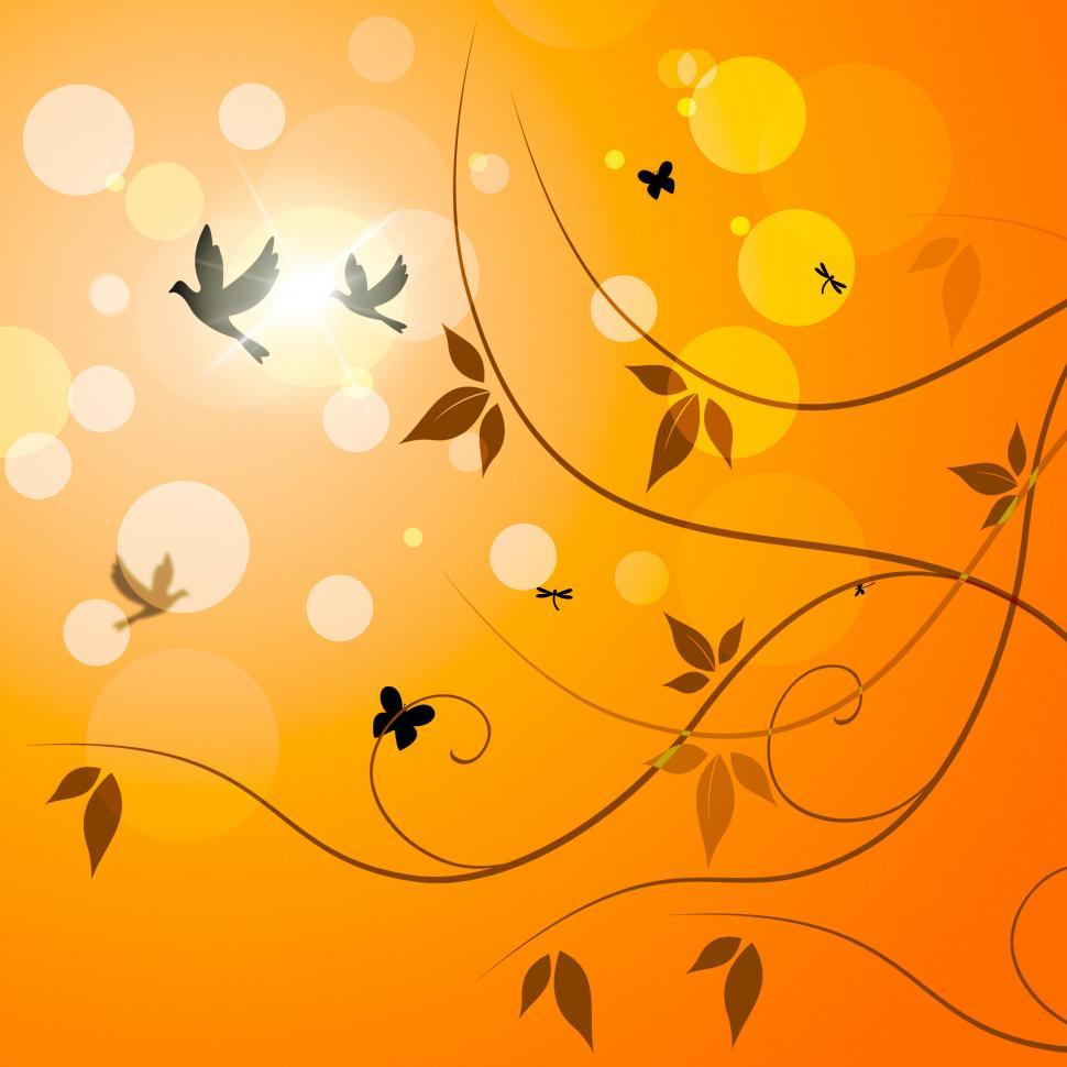 Free Image of Birds Floral Indicates Petals Sunny And Florals 