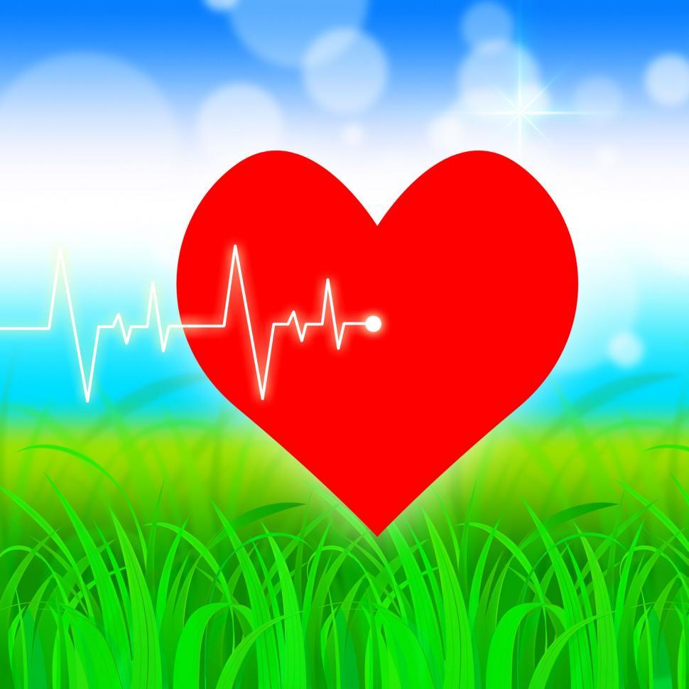 Free Image of Heart Pulse Represents Valentine Day And Cardiology 