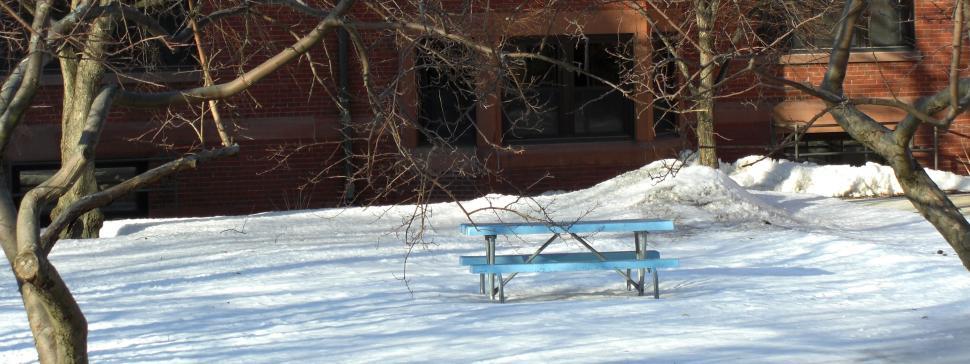 Free Image of Lonely Picnic Tables in the Winter 