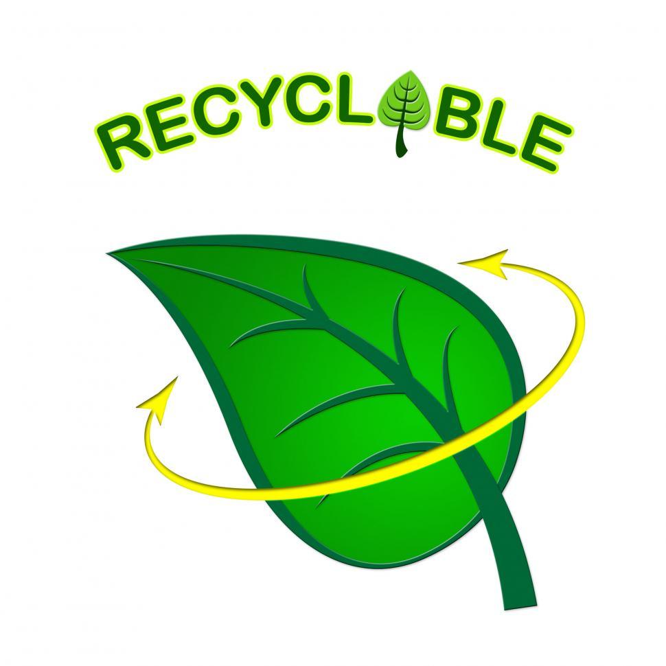 Free Image of Recyclable Leaf Indicates Earth Friendly And Eco 