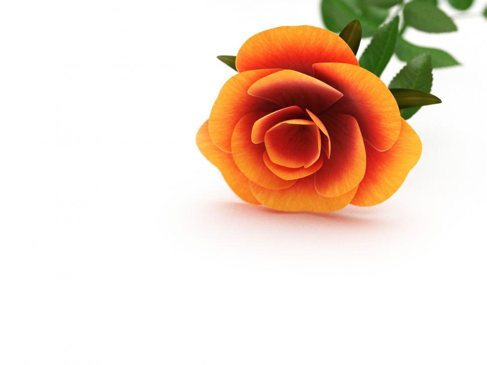 Free Image of Copyspace Rose Represents Copy-Space Petal And Valentines 
