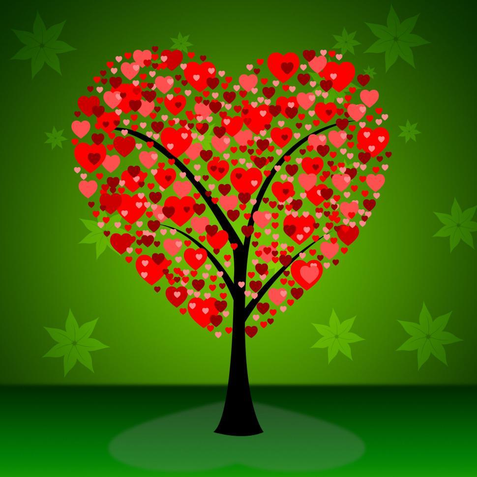 Free Image of Tree Hearts Indicates Valentine s Day And Forest 