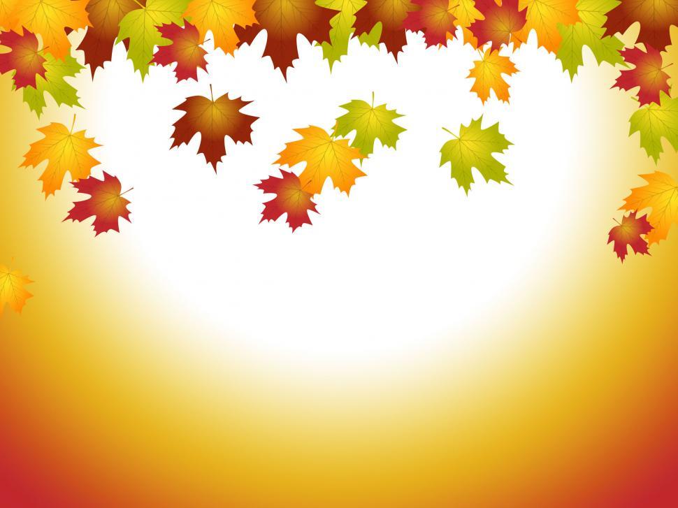 Free Image of Fall Leaves Means Text Space And Blank 