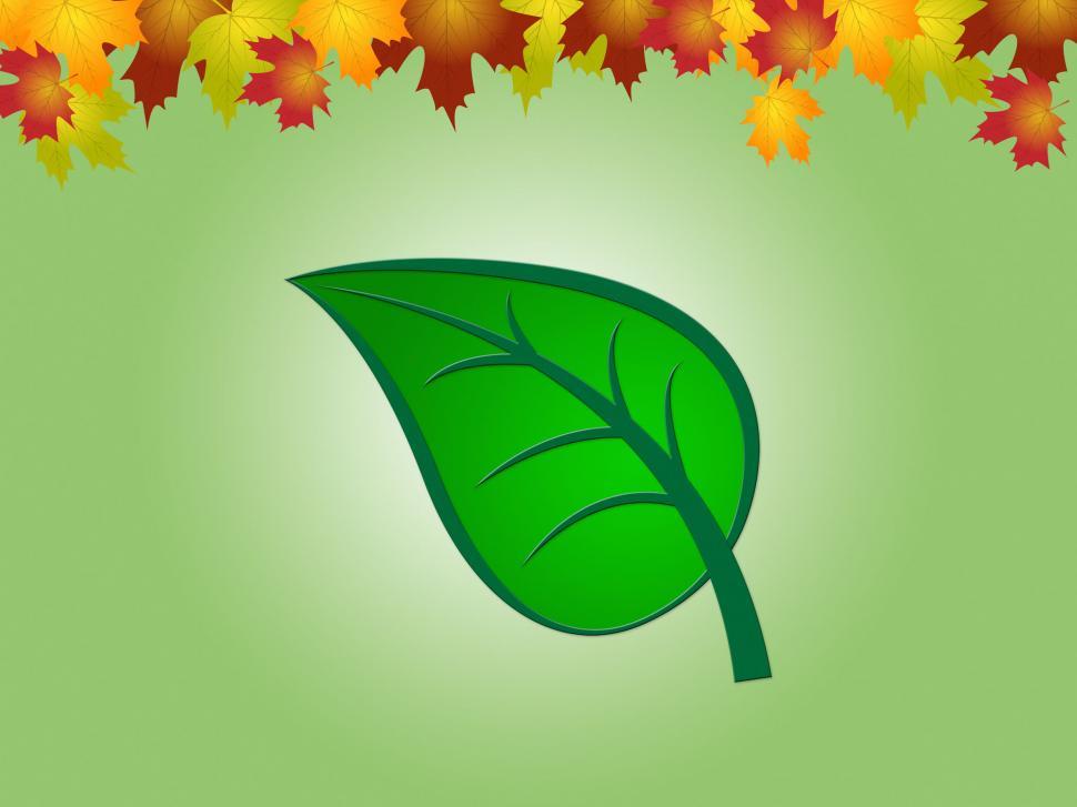 Free Image of Nature Leaves Indicates Earth Day And Countryside 