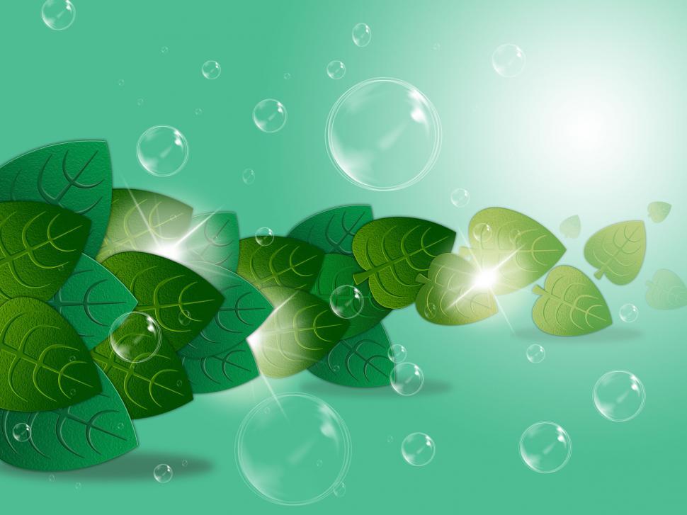 Free Image of Bubbles Leaves Represents Garden Rural And Trees 