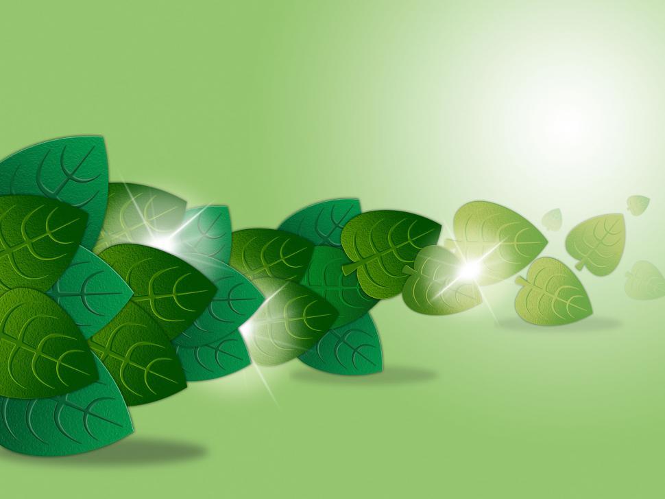 Free Image of Leaves Green Represents Plant Botanic And Natural 