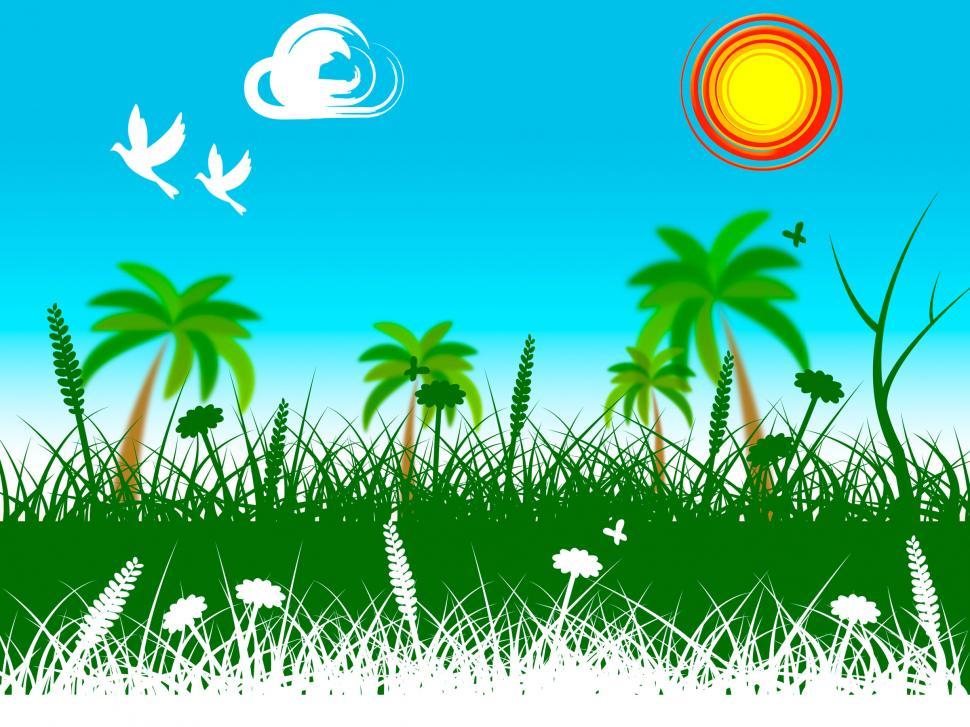 Free Image of Grass Landscape Indicates Summer Scene And Picturesque 