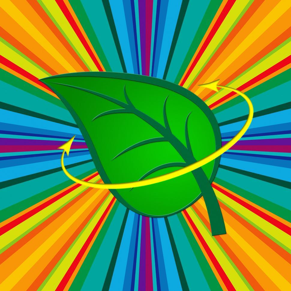 Free Image of Nature Leaf Indicates Go Green And Countryside 