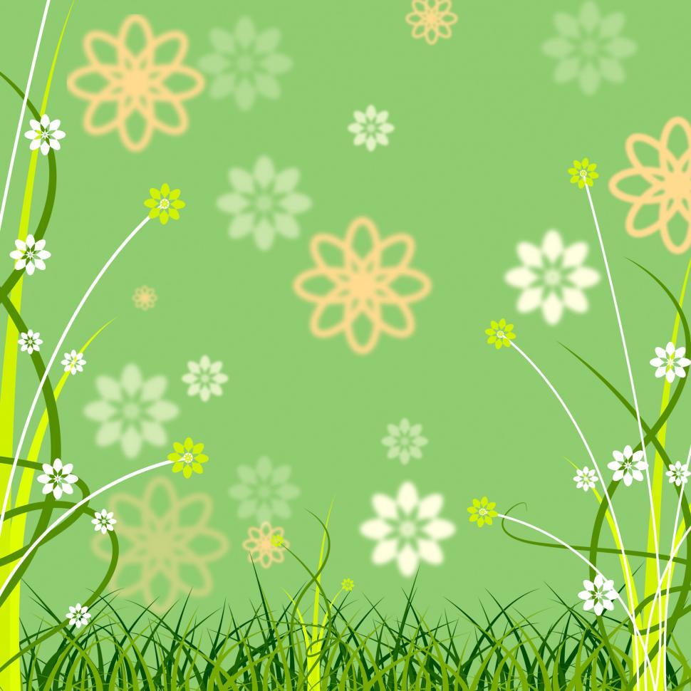 Free Image of Background Copyspace Shows Flora Abstract And Copy-Space 