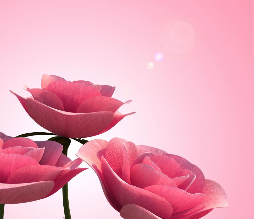 Free Image of Roses Copyspace Indicates Valentine Valentines And Blank 
