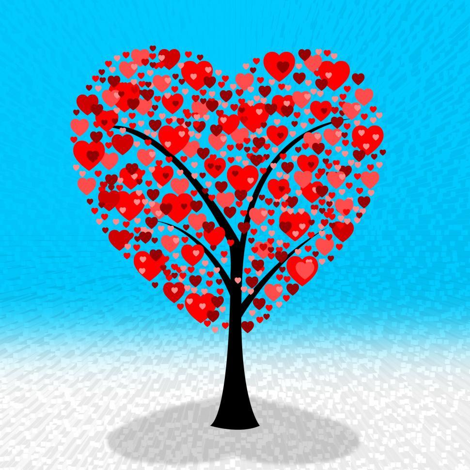 Free Image of Hearts Tree Shows Valentines Day And Affection 