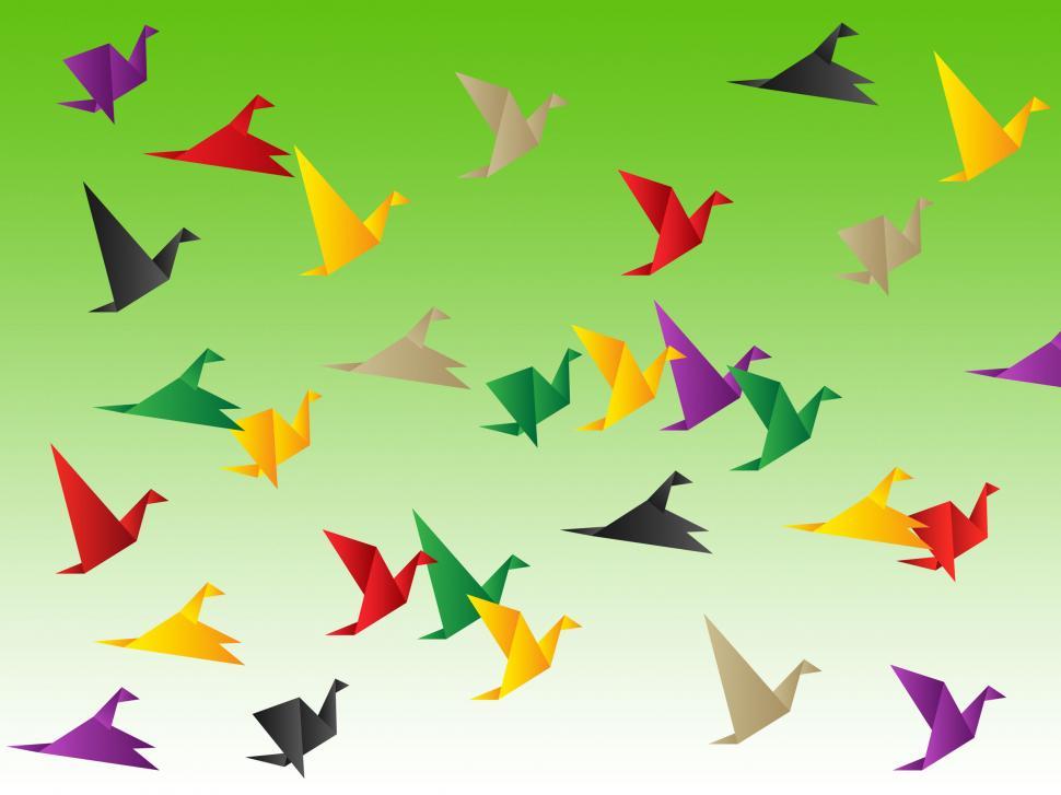 Free Image of Birds Freedom Shows Break Out And Elude 