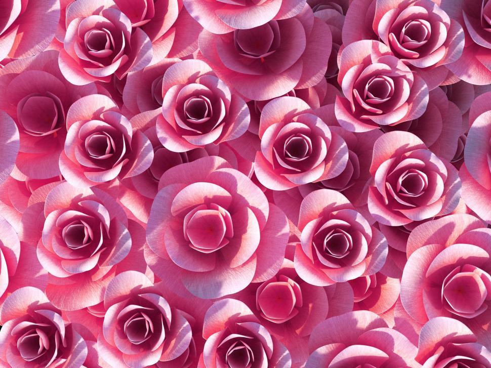 Free Image of Background Roses Shows Template Romance And Bloom 
