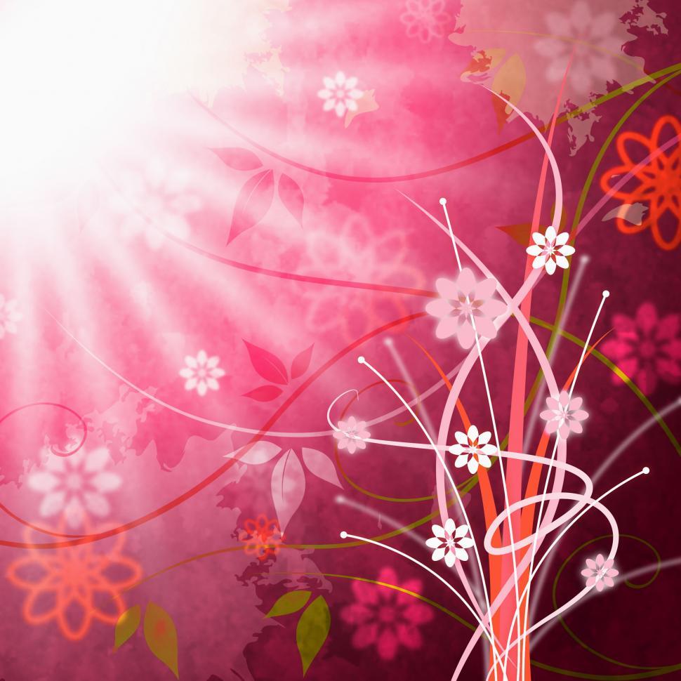 Free Image of Sun Sunrays Shows Florals Beam And Floral 
