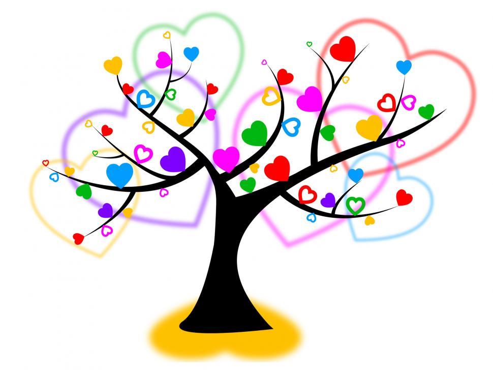 Free Image of Heart Tree Indicates Valentines Day And Forest 