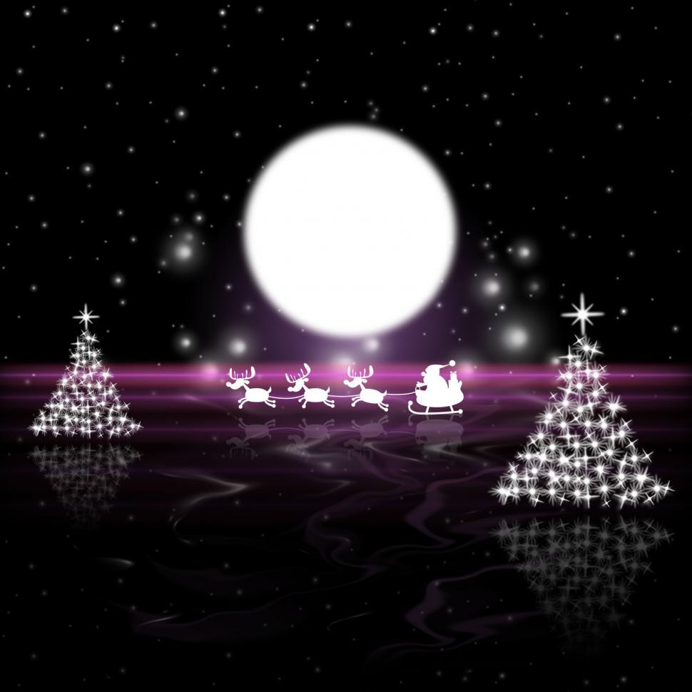 Free Image of Xmas Tree Means Full Moon And Lunar 