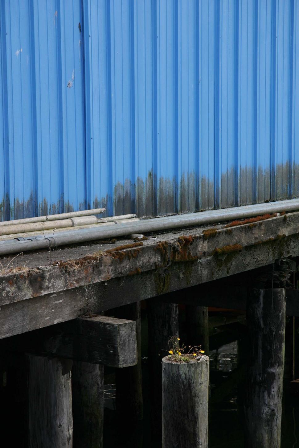 Free Image of Pier with flowers from piling 