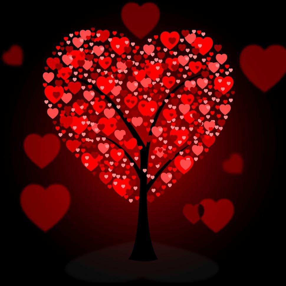 Free Image of Hearts Tree Means Valentine s Day And Forest 
