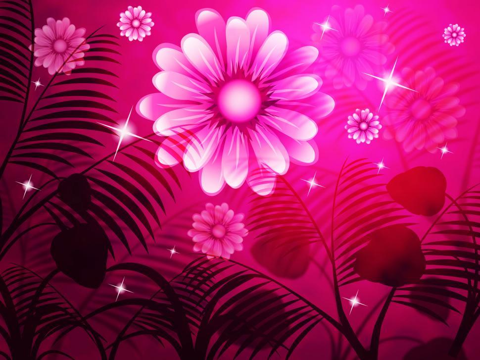 Free Image of Copyspace Pink Represents Light Burst And Background 