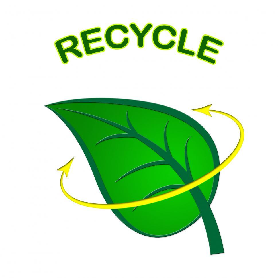 Free Image of Recycle Leaf Represents Earth Friendly And Conservation 
