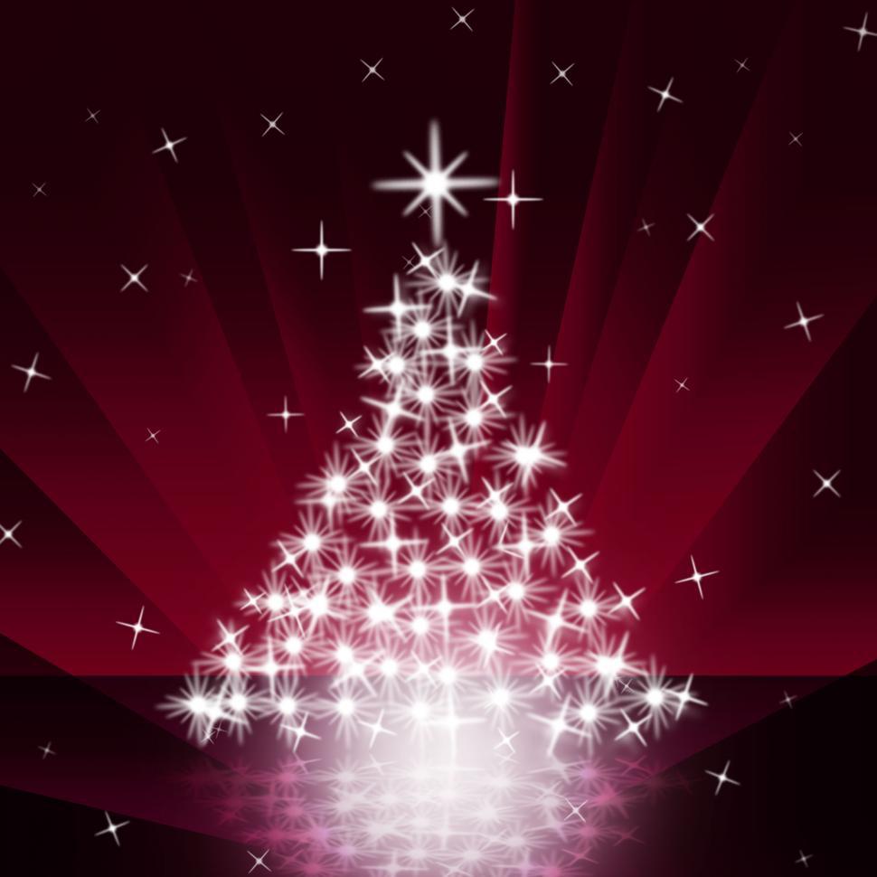 Free Image of Xmas Tree Means New Year And Christmas 