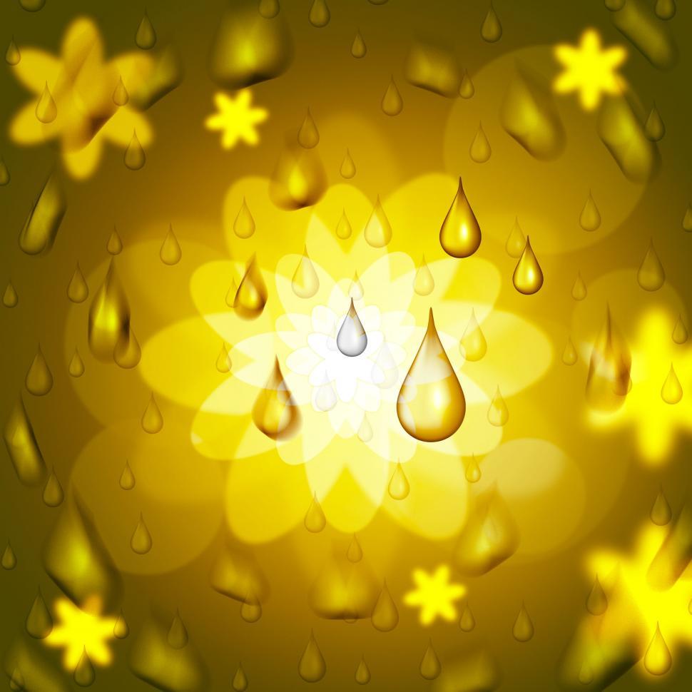 Free Image of Rain Drop Shows Bloom Florals And Petal 
